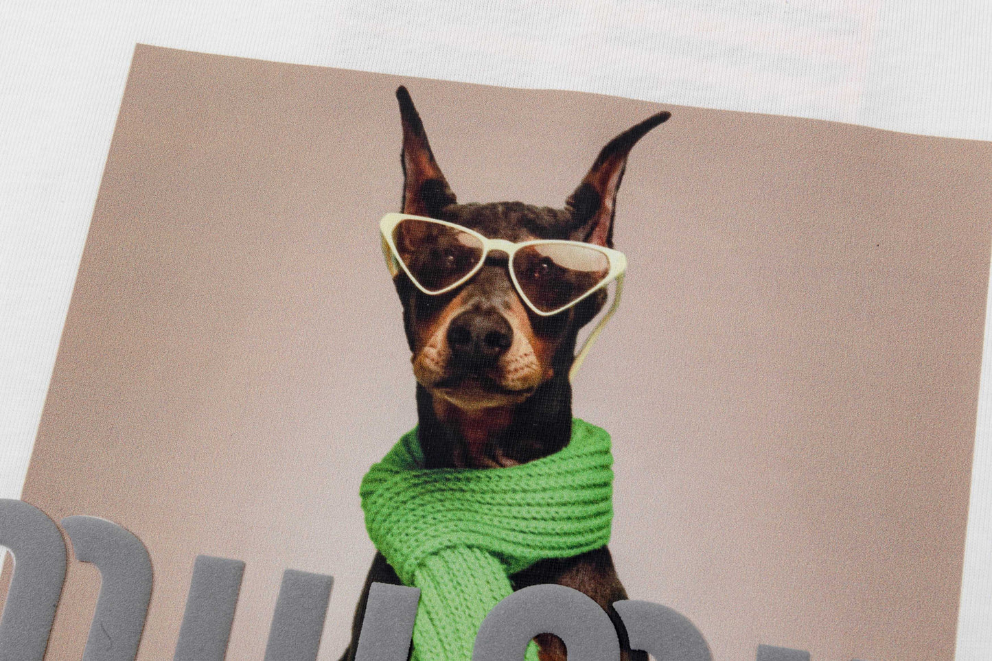 250305 New high quality printed dog T-shirt