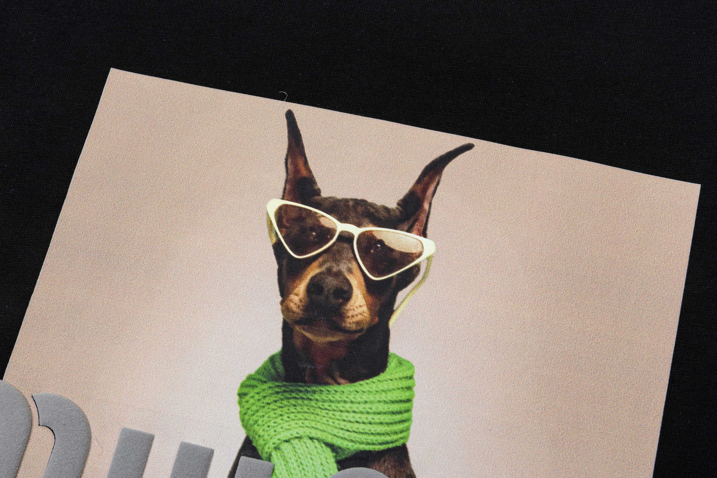 250305 New high quality printed dog T-shirt
